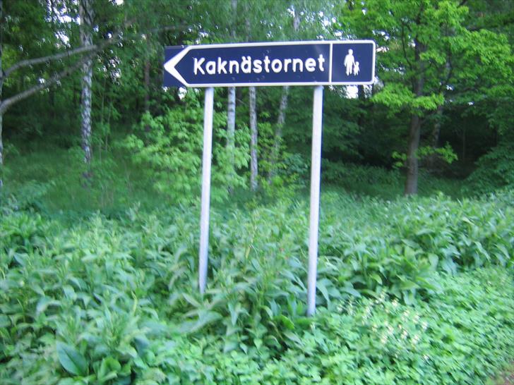 This Way to Kaknästornet