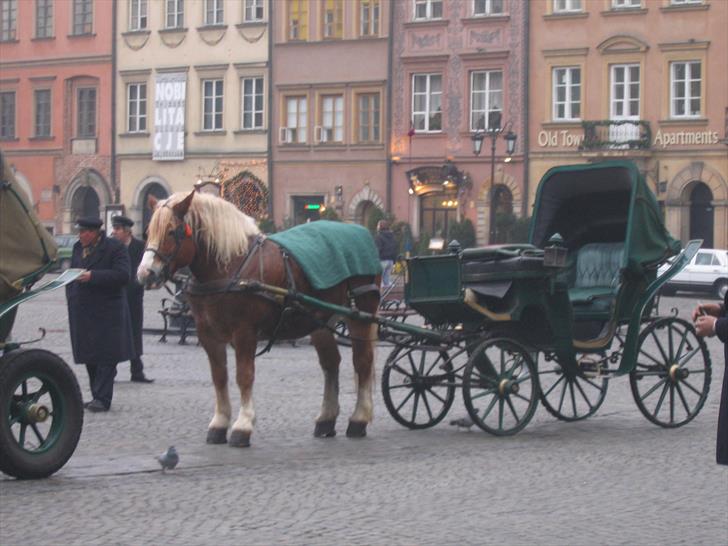 Rynek Starego Miasta, Warsaw Rynek Starego Miasta, Warsaw
