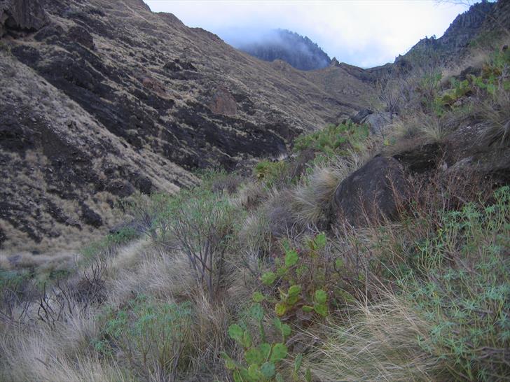 Barranco de La Palma, looking inlands Barranco de La Palma, looking inlands
