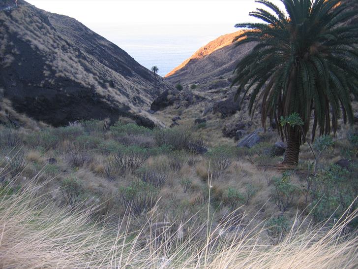 Barranco de La Palma, looking towards the coast Barranco de La Palma, looking towards the coast