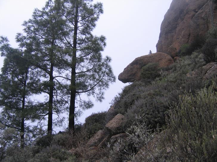 Just below Roque Nublo peak