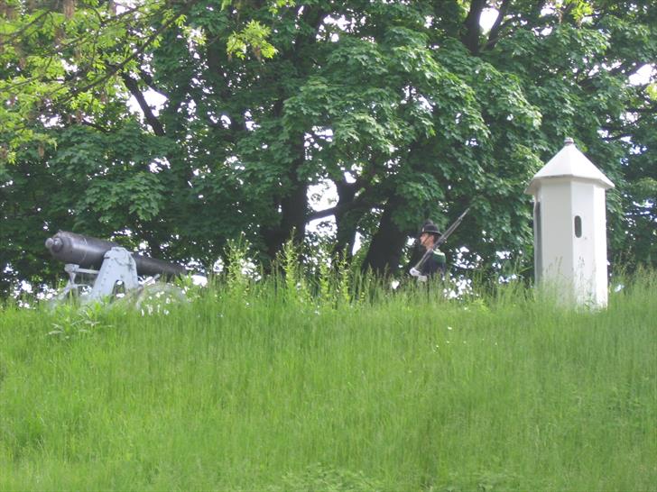 Akershus Fortress guard and cannon