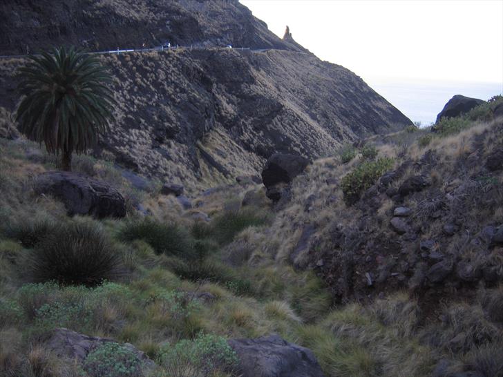 Barranco de La Palma Barranco de La Palma