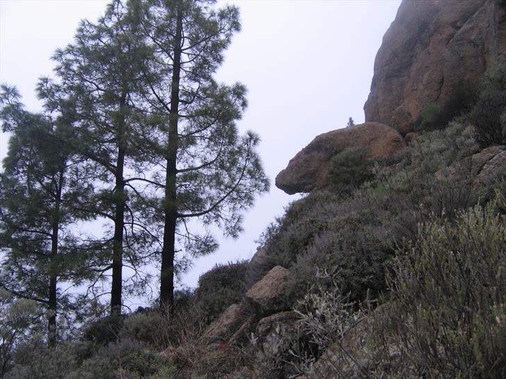 Just below Roque Nublo peak Just below Roque Nublo peak