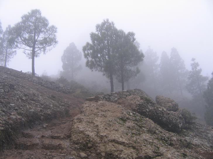 Roque Nublo trail second half Roque Nublo trail second half