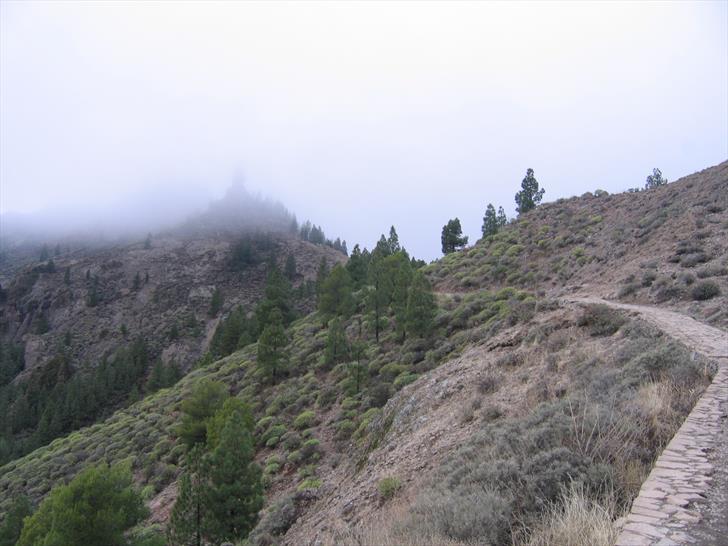 Roque Nublo trail first half - typical terrain Roque Nublo trail typical terrain