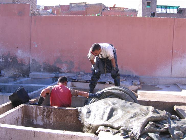 Working in a tannery in Marrakech Working in a tannery in Marrakech