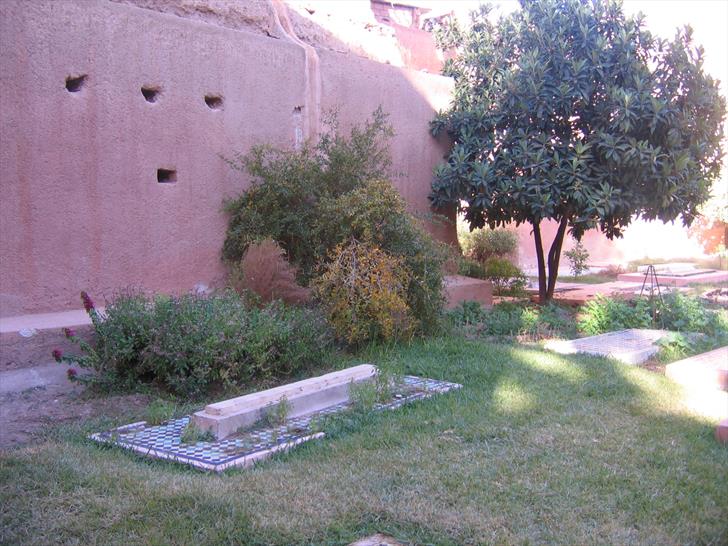 Tombs in the courtyard Tombs in the courtyard