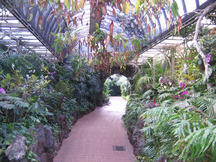 Orchid Garden Orchid Garden