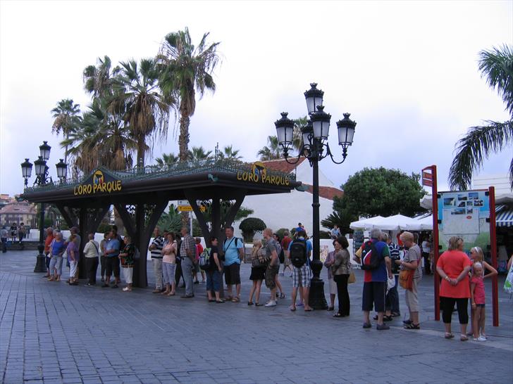 Loro Parque train stop Loro Parque train stop